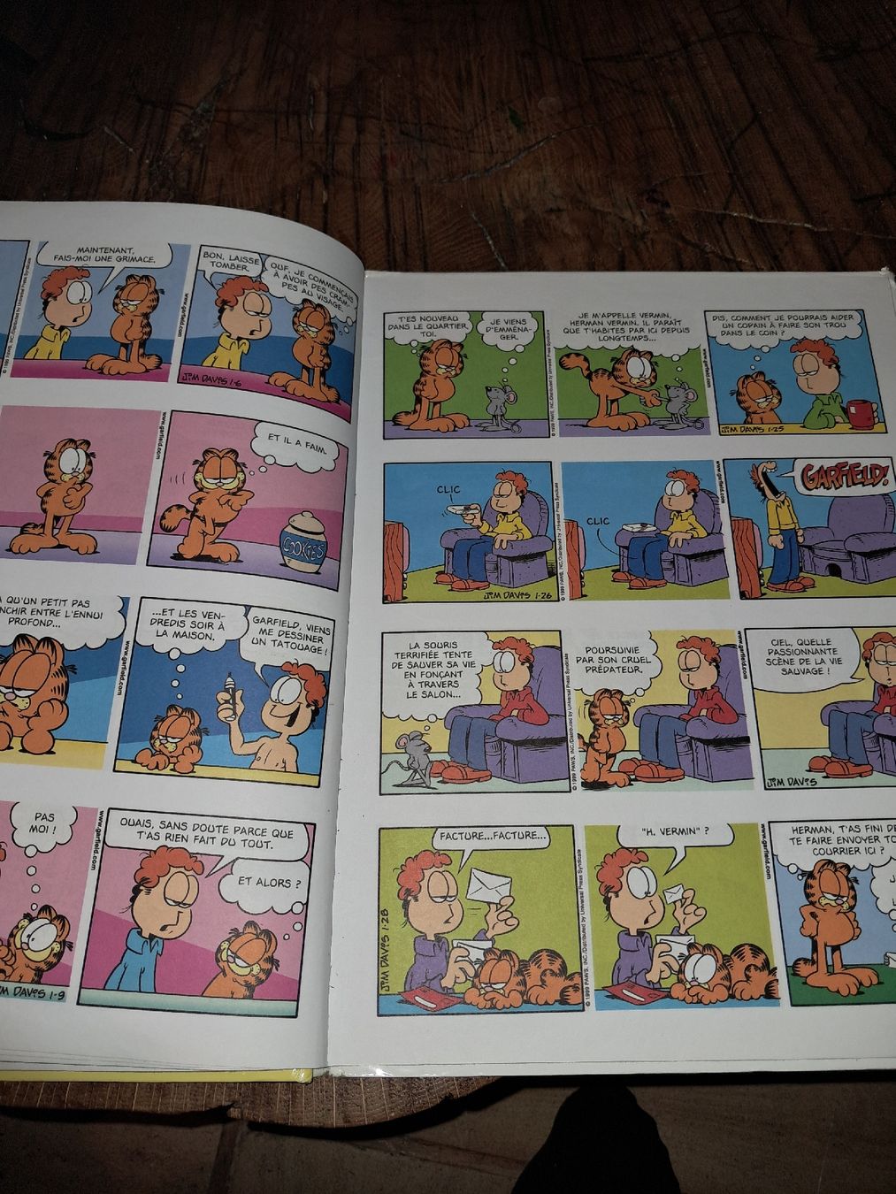 Fumetti: Garfield Tome 33 : Garfield a une idée géniale – Usato da Le locle venduto da juliensaran 3