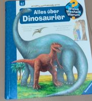 Buch Alles über Dinosaurier Ravensburger guter Zustand