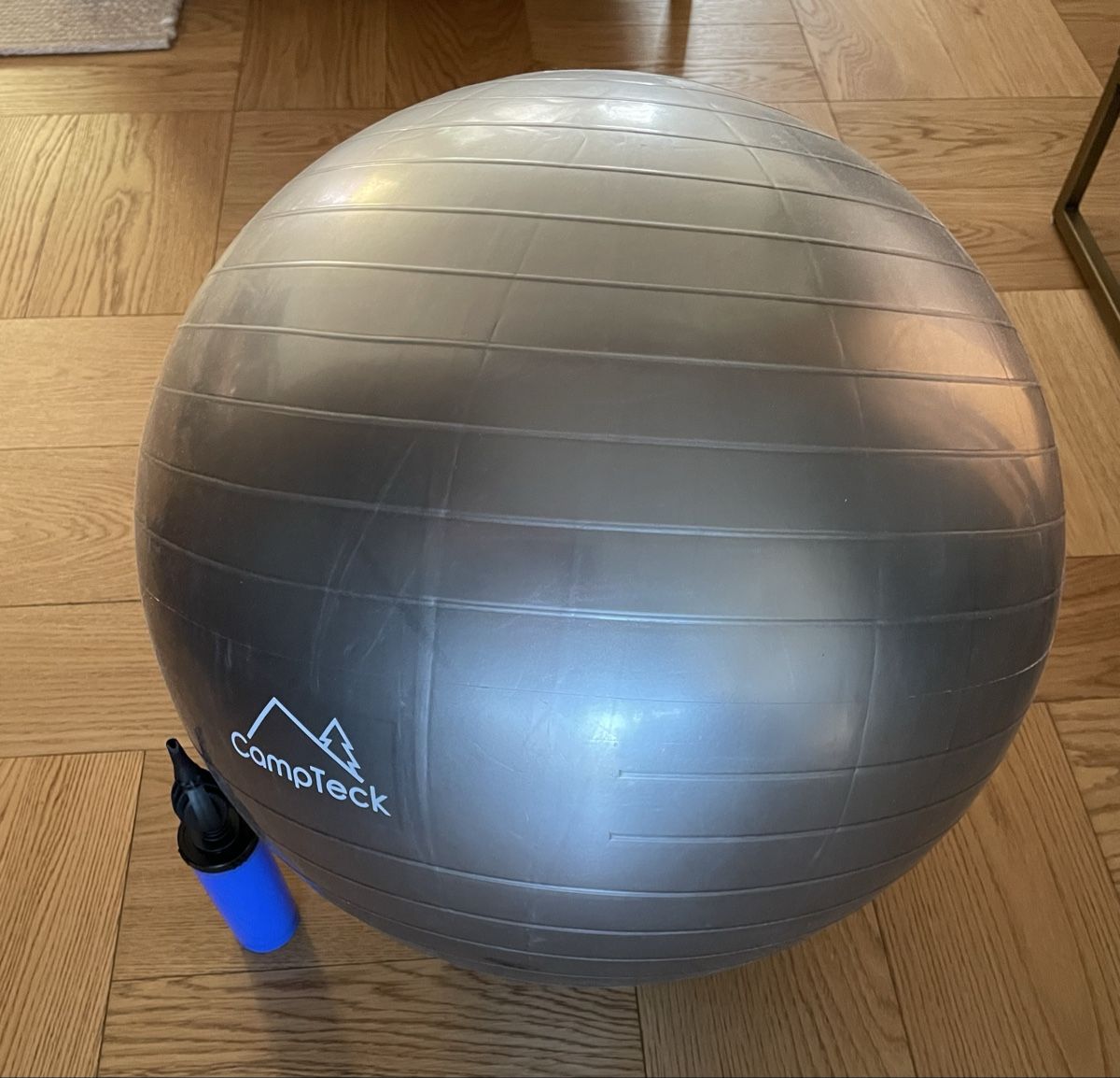 Hometrainer: CampTeck Exercise Ball with Pump – Nuovo (secondo la descrizione) da Embrach venduto da bee_5hd6