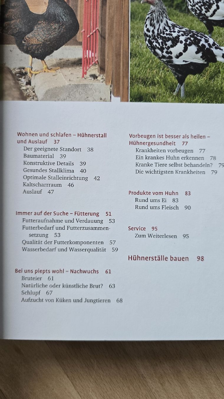 Bücher: Hühner in meinem Garten – Neu (gemäss Beschreibung) aus Rüthi (Rheintal) von Sinhue 2