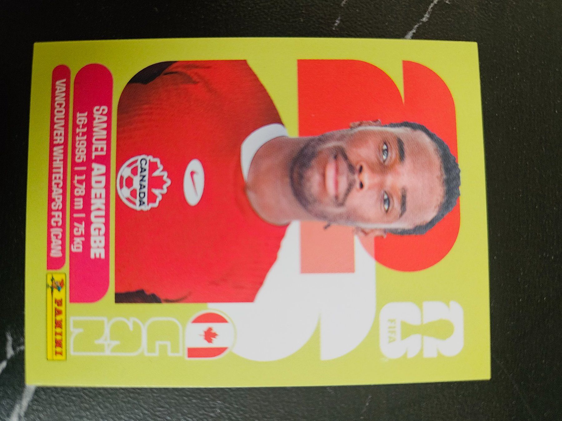 Panini Carte collezionabili: CAN5 – Usato da Würenlingen venduto da Dinli