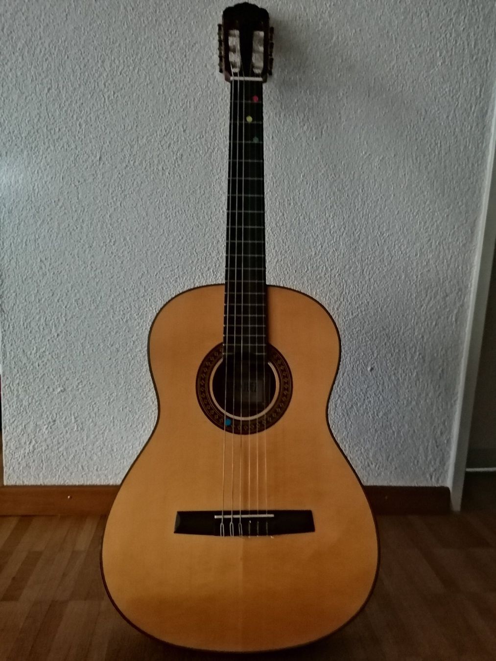 Strumenti musicali: Gitarre – Usato da Rafz venduto da giasim