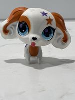Figurine LPS chien blanc marron bleu étoiles Hasbro 21281