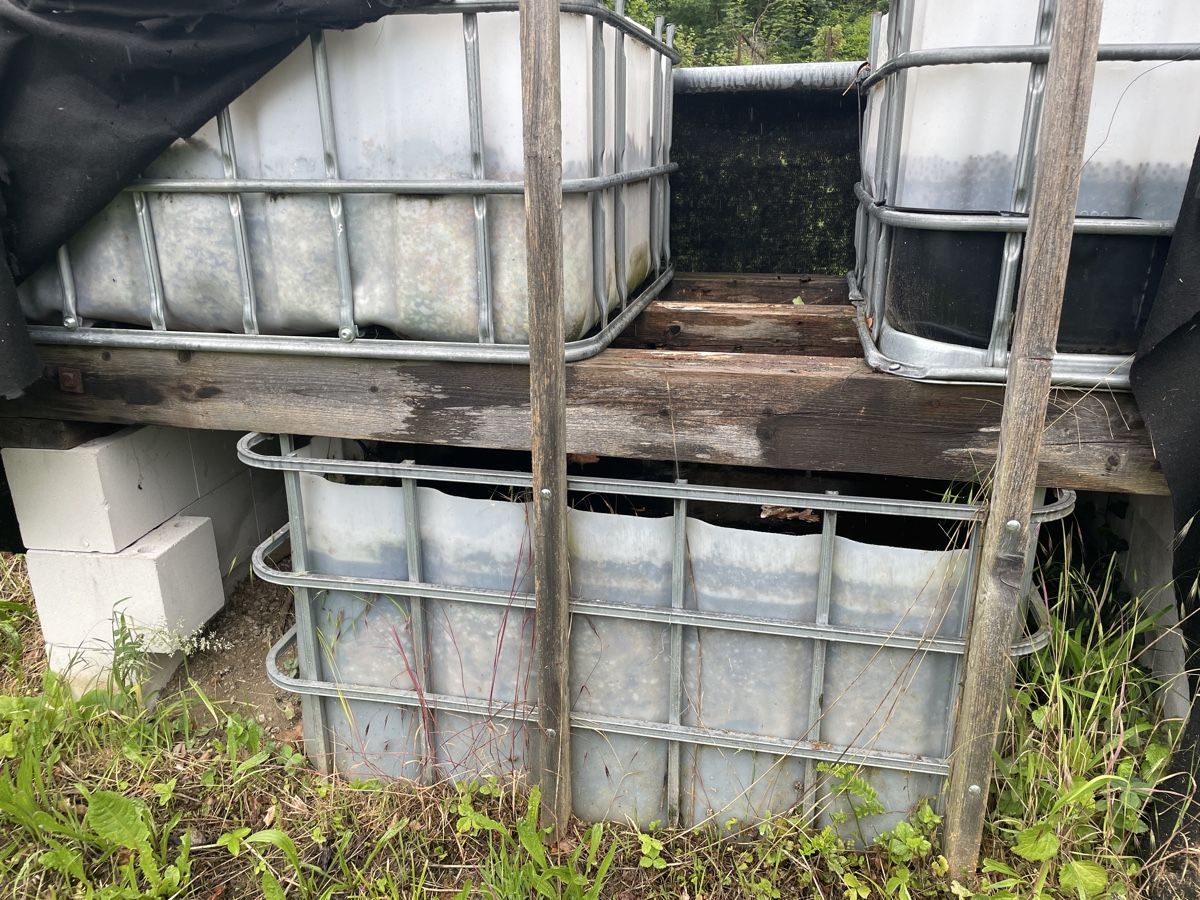 Altro: Aquaponic Anlage – Usato da Möriken AG venduto da Sammler06 5