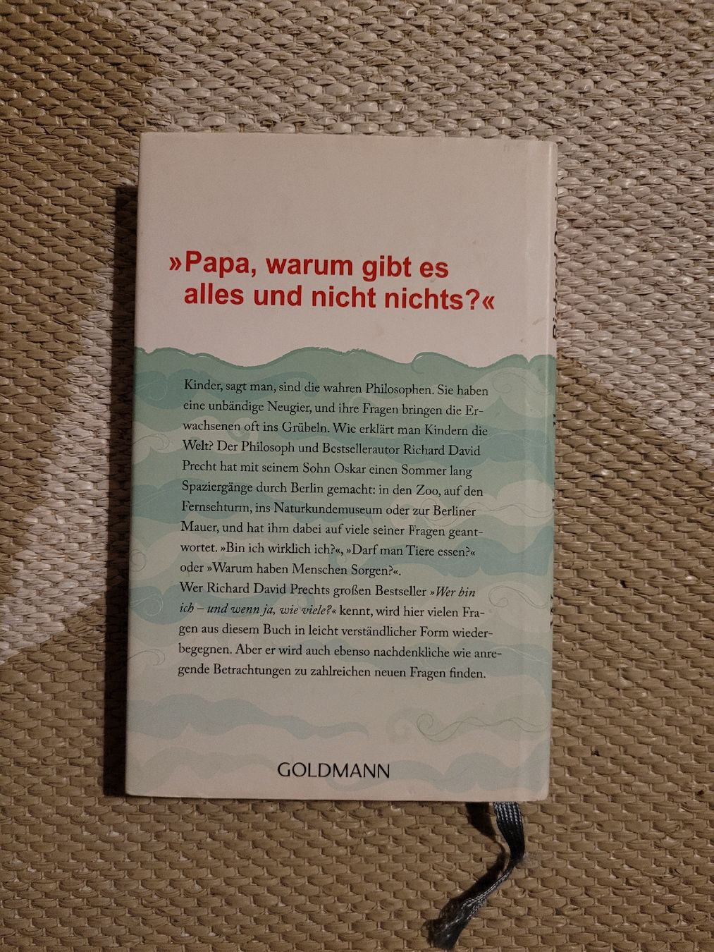 Libri: Richard David Precht - Warum gibt es alles? – Usato da Perlen venduto da Safari_23 1