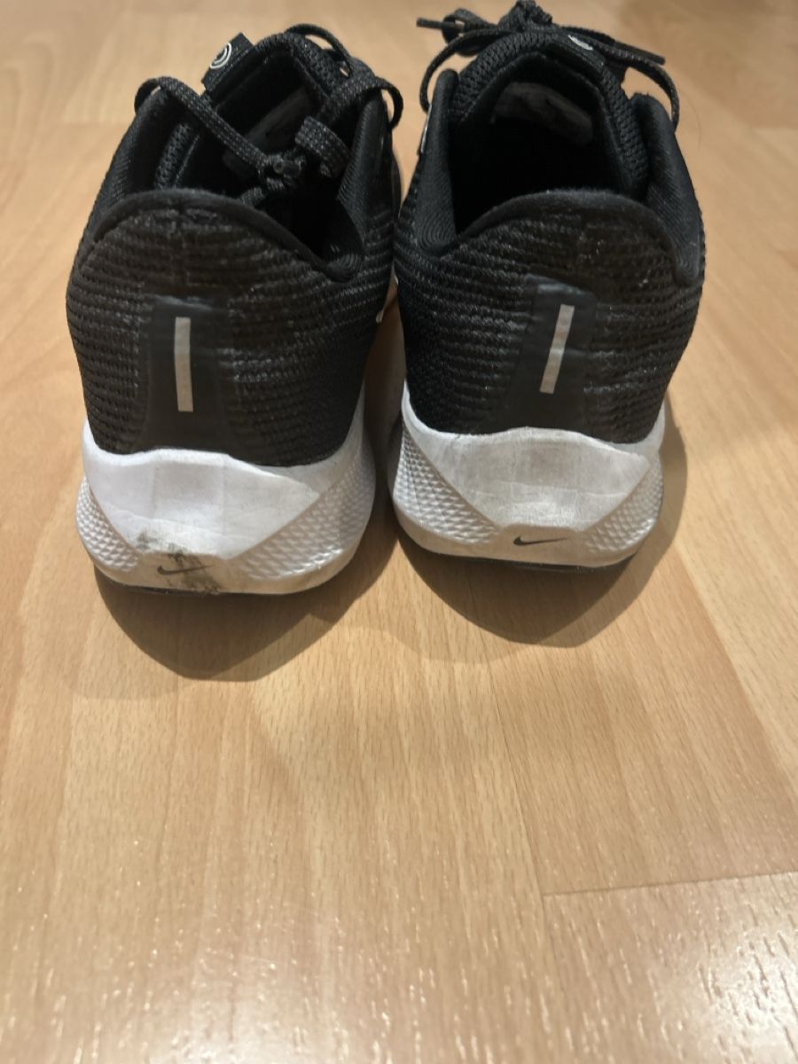 Nike Scarpe da uomo: Nike pegasus 40 – Usato da Zürich venduto da pil_9sh9 3