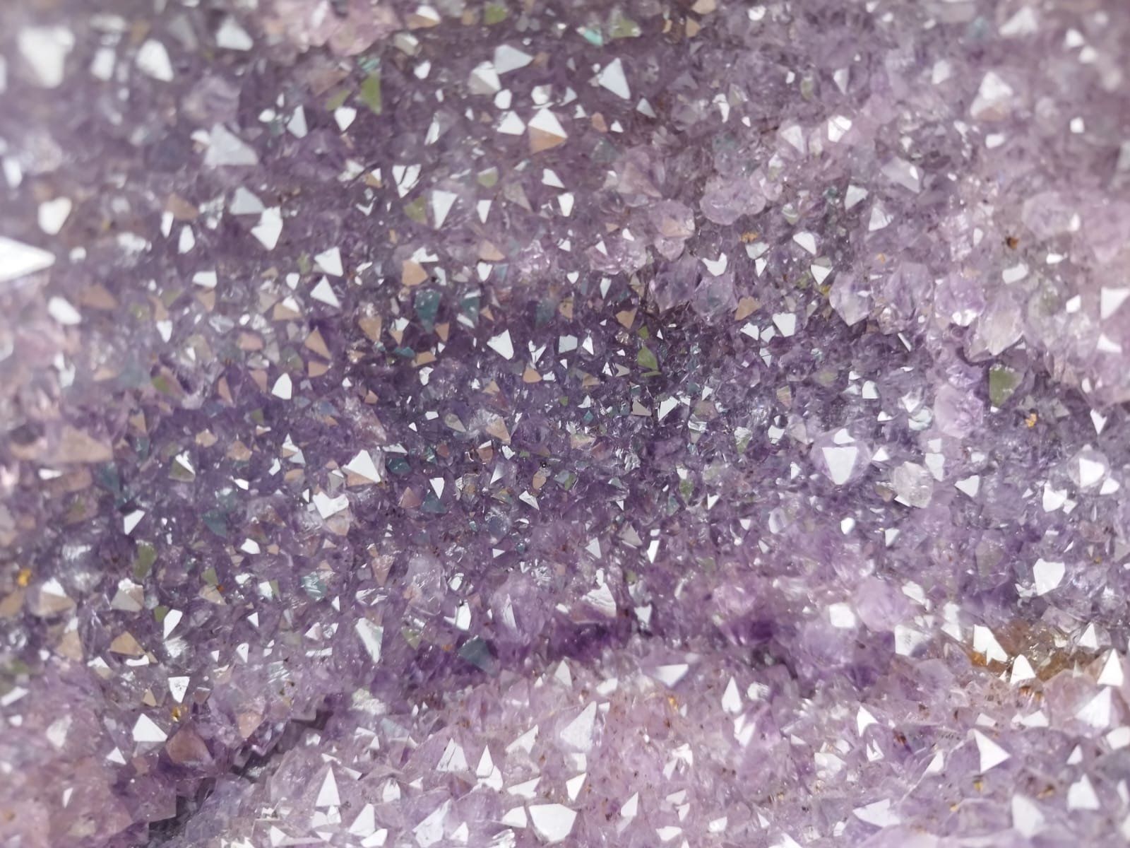 Mineralien & Heilsteine: Majestätische Amethystdruse aus Brasilien – Neu (gemäss Beschreibung) aus Rheineck von  2