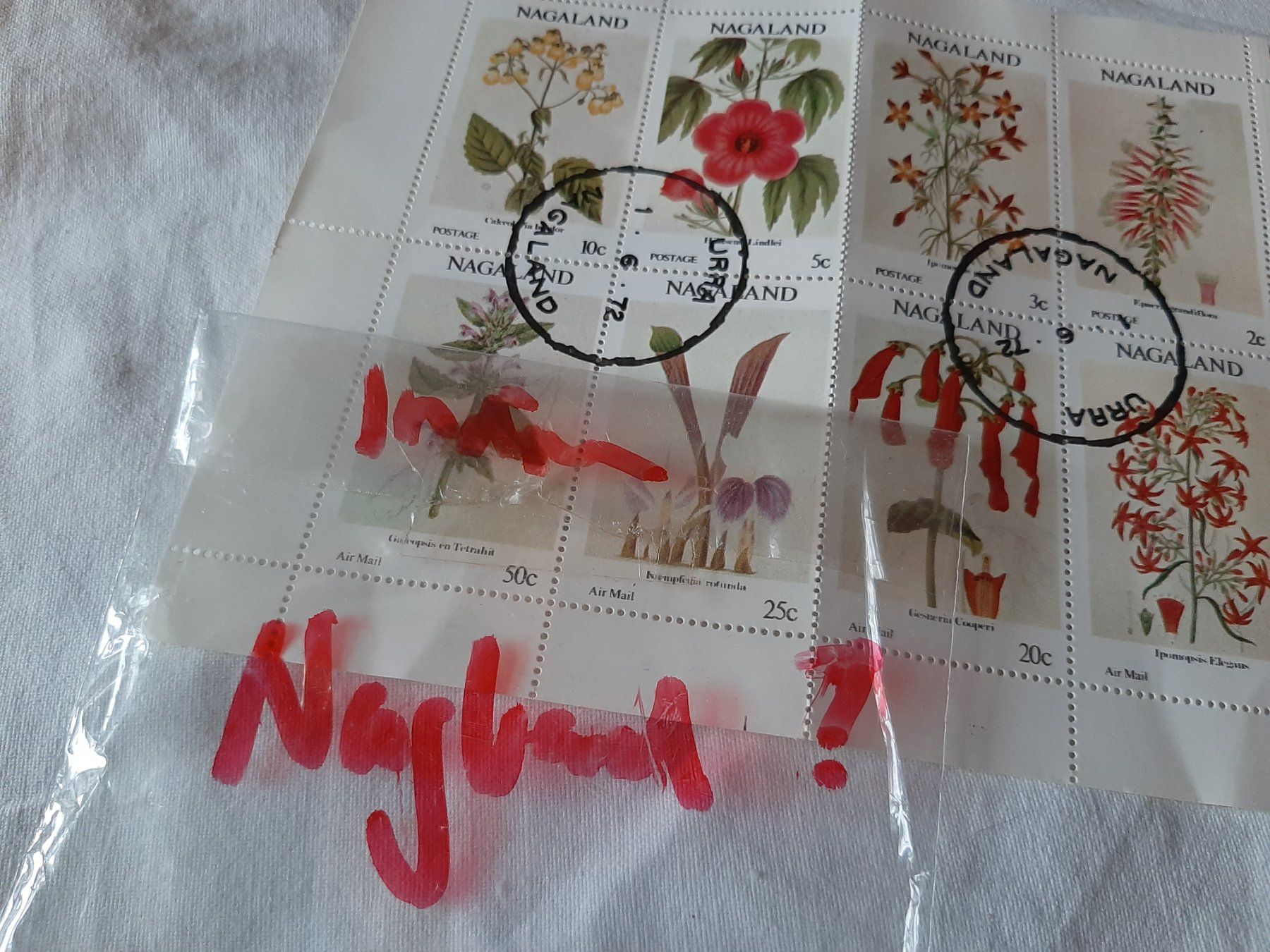 Tutti i francobolli: Briefmarken NAGALAND – Usato da Wilderswil venduto da SFSw 1