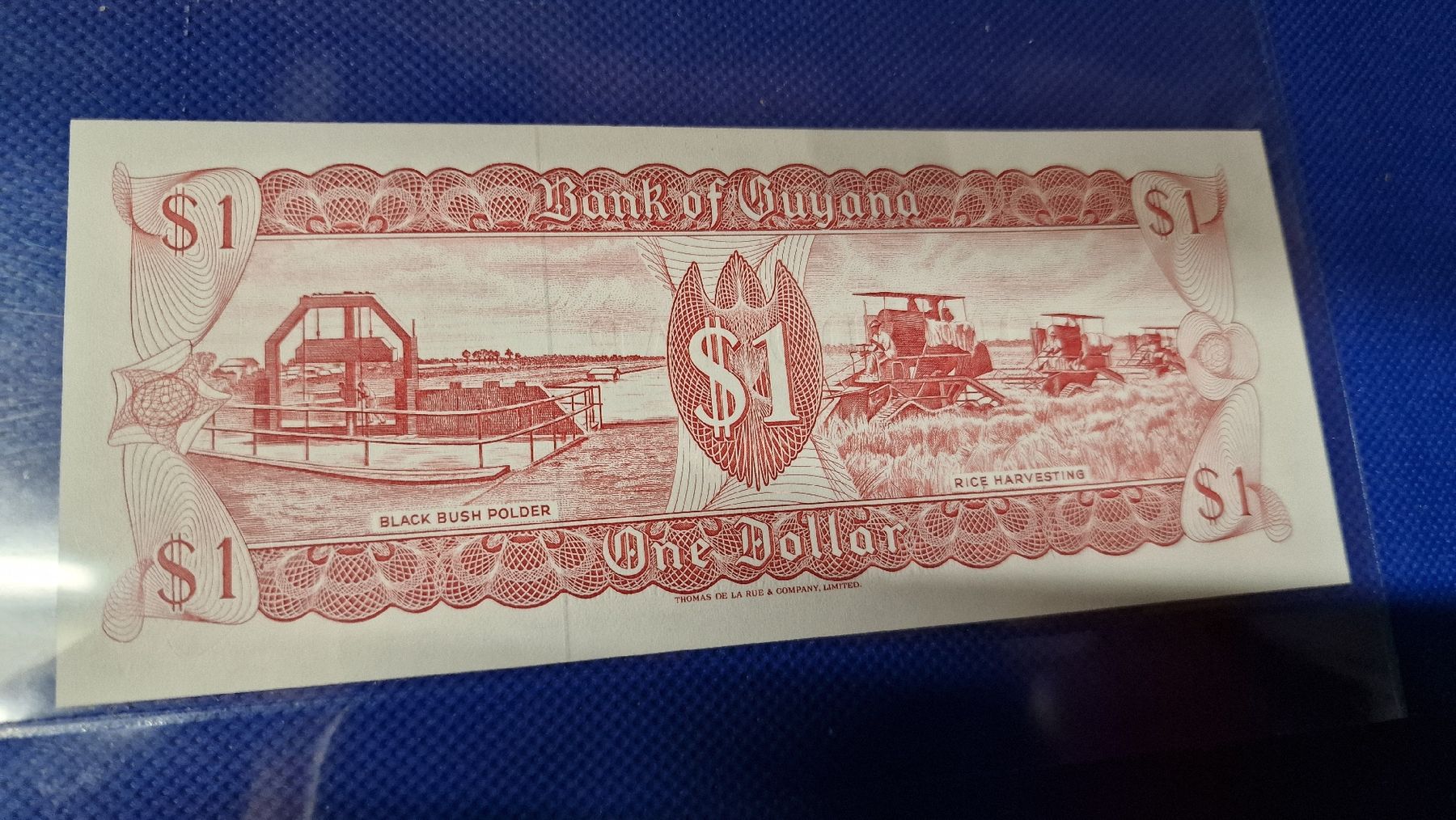 Banconote: Banknote Guyana 1966 NEU – Nuovo e nell'imballaggio originale da Herisau venduto da Antiques.AR 1