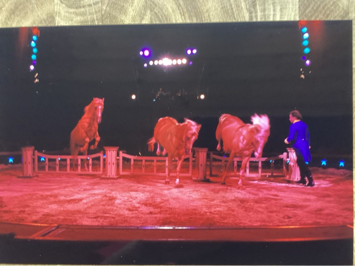 Foto & Immagini: Circus Knie Foto 1993 – Usato da Reichenbach i. K. venduto da astra2010