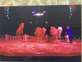 Circus Knie Foto 1993