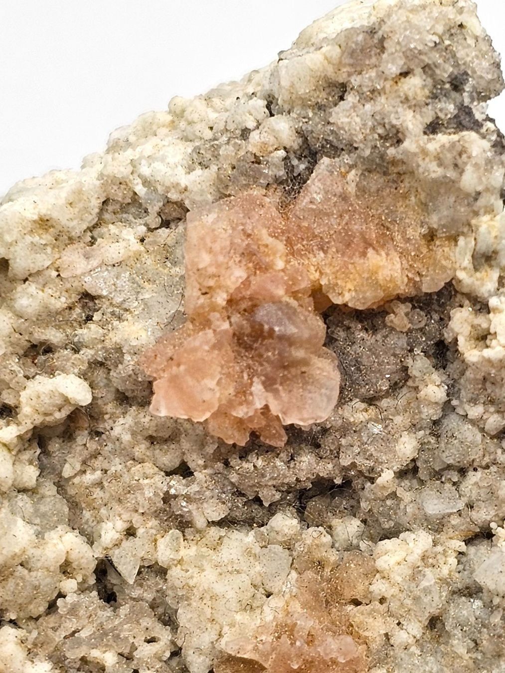 Minerali & Pietre curative: Rosa Fluorite Grimsel Pass, Haslital, Bern – Usato da Figino venduto da minshop 3