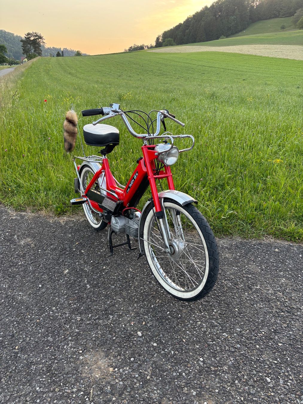 Puch Ciclomotori: Puch Maxi N ( Urmaxi ) – Usato da Turbenthal venduto da sch_8bqz 1