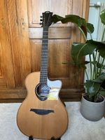 Gitarre mit eingebautem Verstärker & Effekten! (Bankzahlung)