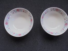 2 Porzellan Nudelsuppen Schalen Fine Porcelain made in China