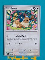Eevee Evoli - Pokemon Shrouded Fable - #6.1
