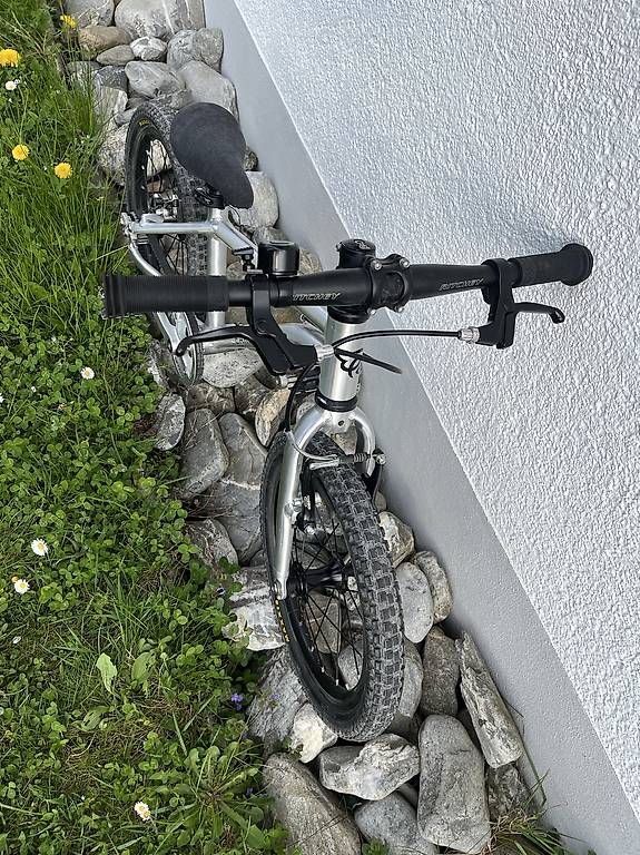 Biciclette: Early Rider 16' Kindervelo – Usato da Wildberg venduto da zralous 4
