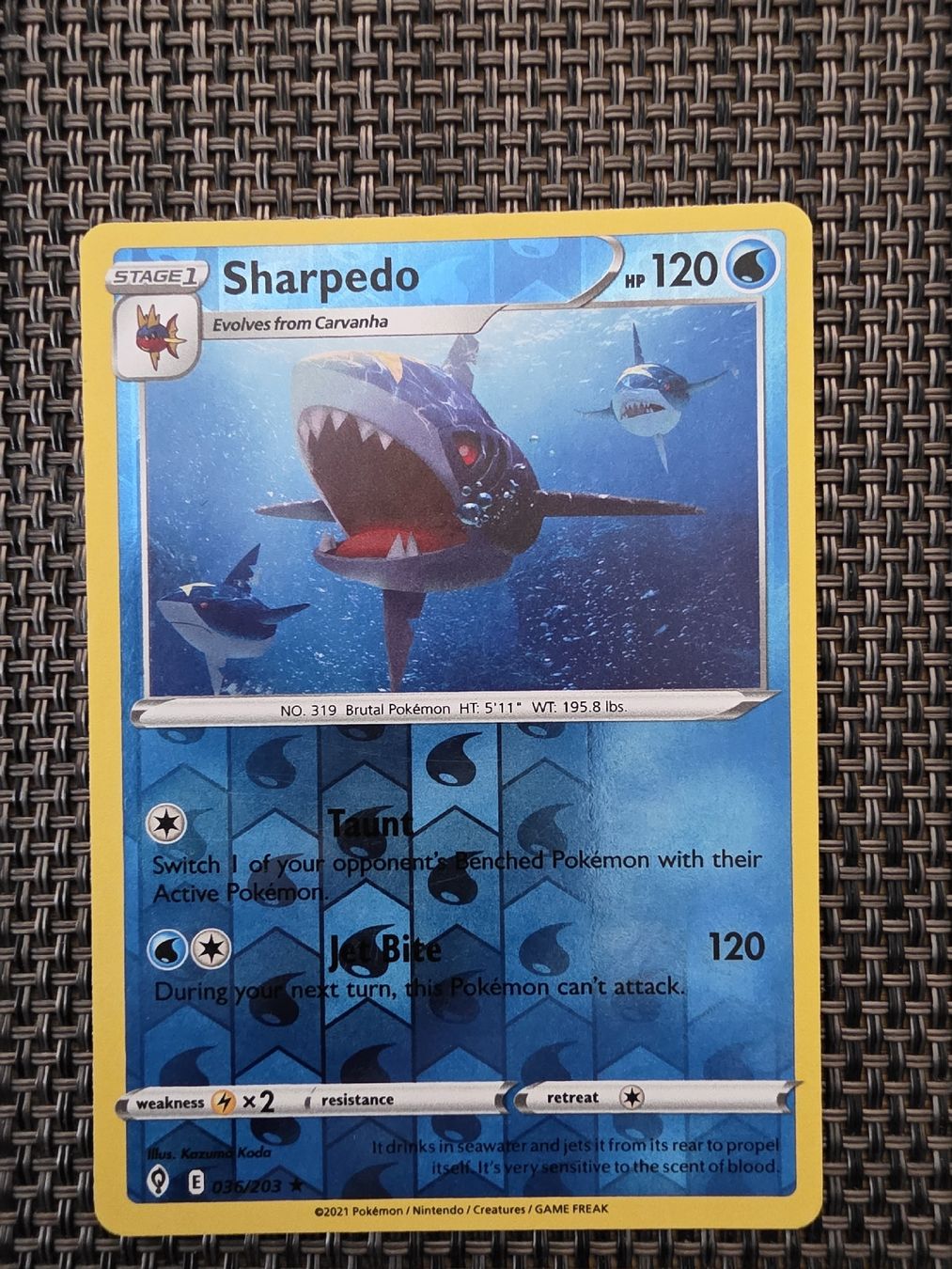 Pokémon Carte collezionabili: Pokemon Karte Sharpedo ST1 HP120  – Usato da Alberswil venduto da mario889