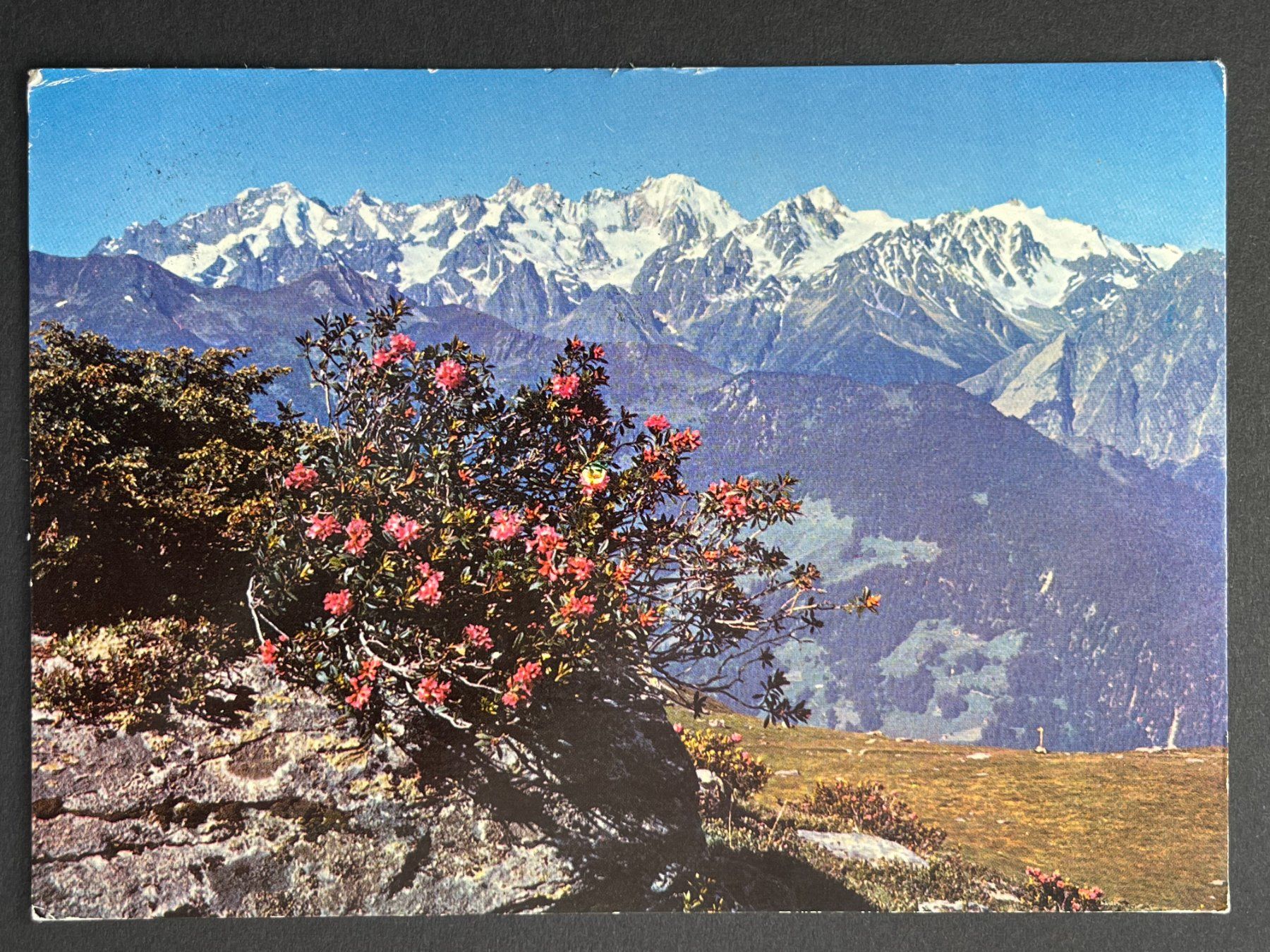 Cartes postales: Verbier - le massif du Trient – D'occasion à Steg VS par danwer74