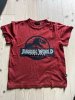 MOLO T-shirt Gr.128 Jurassic World