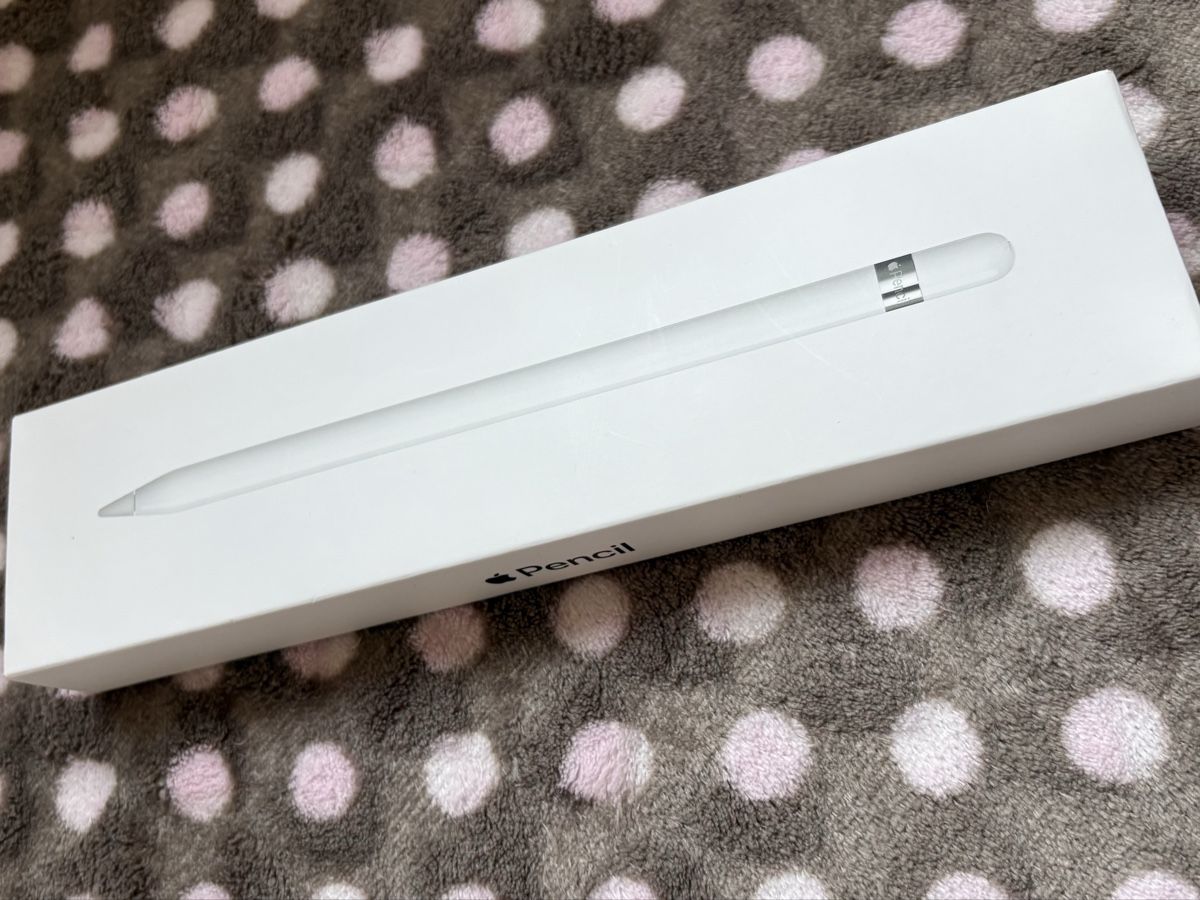 Apple Penna & Evidenziatori: Apple Pencil 1. Generation – Usato da Brünisried venduto da sve_vft2