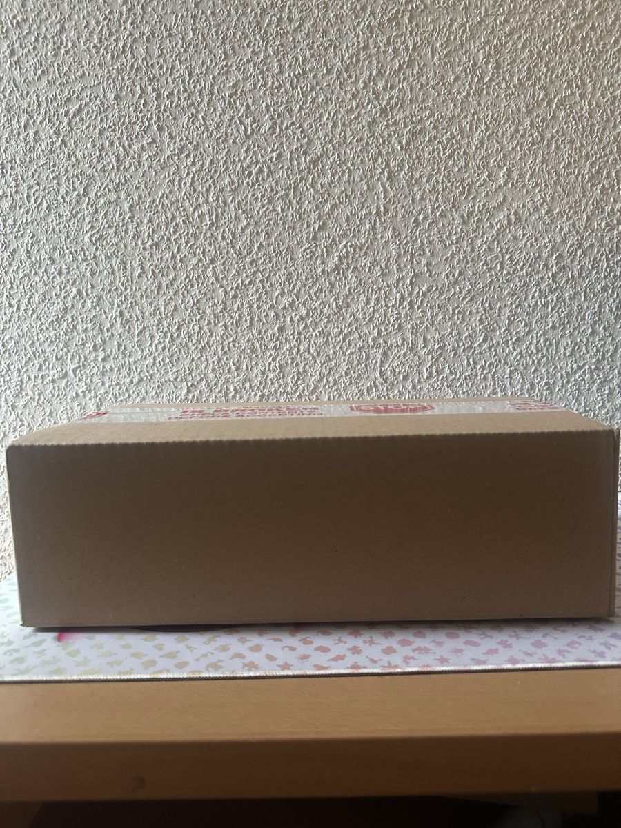 Pokémon Carte collezionabili: Pokemon First Partner Series 2 - ENG - SEALED CASE - Mega EV – Nuovo e nell'imballaggio originale da Genève venduto da flamourr 1