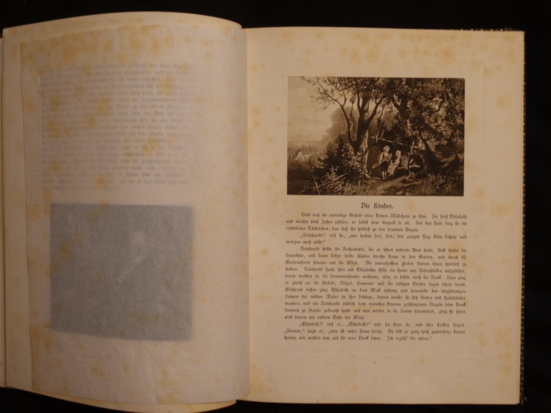 Libri: Immensee Theodor Storm 1887 – Usato da Gutenswil venduto da Optico 7