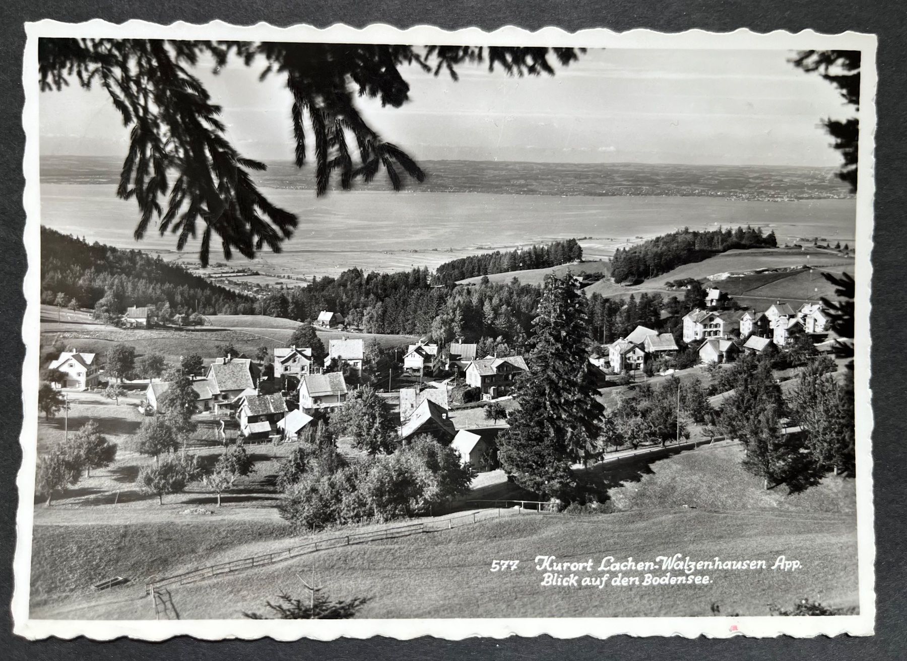 Cartoline postali: Lachen- Walzenhausen / Blick auf den Bodensee. – Usato da Ostermundigen venduto da DaxKarten-75