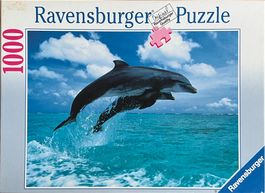 Puzzle  - 1000 Teile