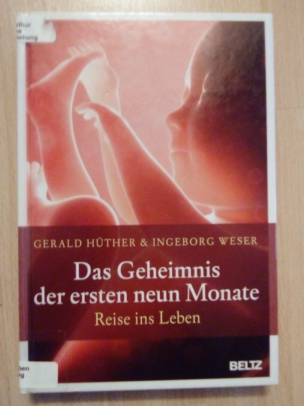 Libri: Das Geheimnis der ersten neun Monate Gerald Hüther – Usato da Winterthur venduto da Colonica