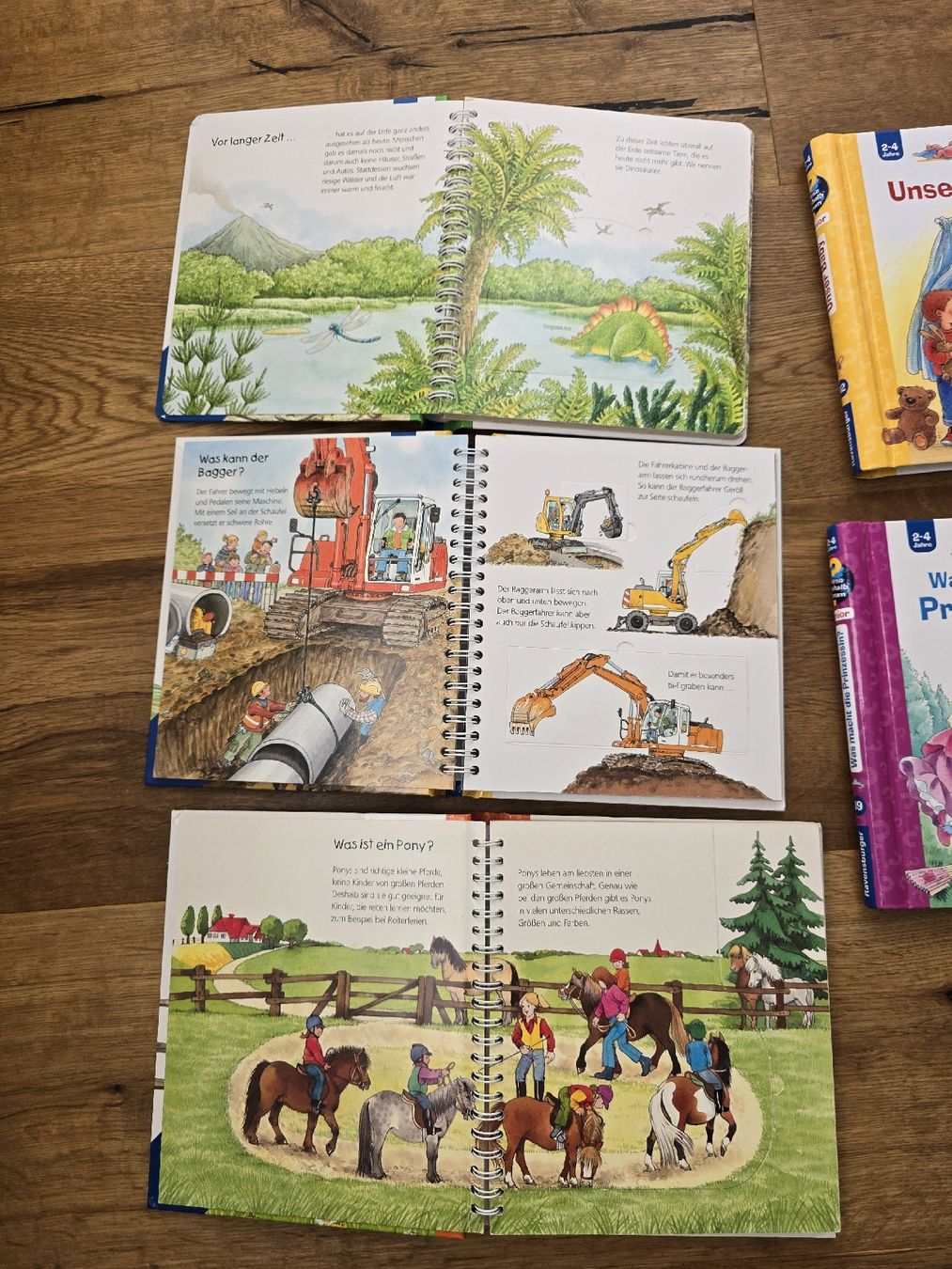 Libri: Kinderbücher-Set: "Wieso? Weshalb? Warum?" Junior, set – Usato da Wittenbach venduto da Tigerlili 3