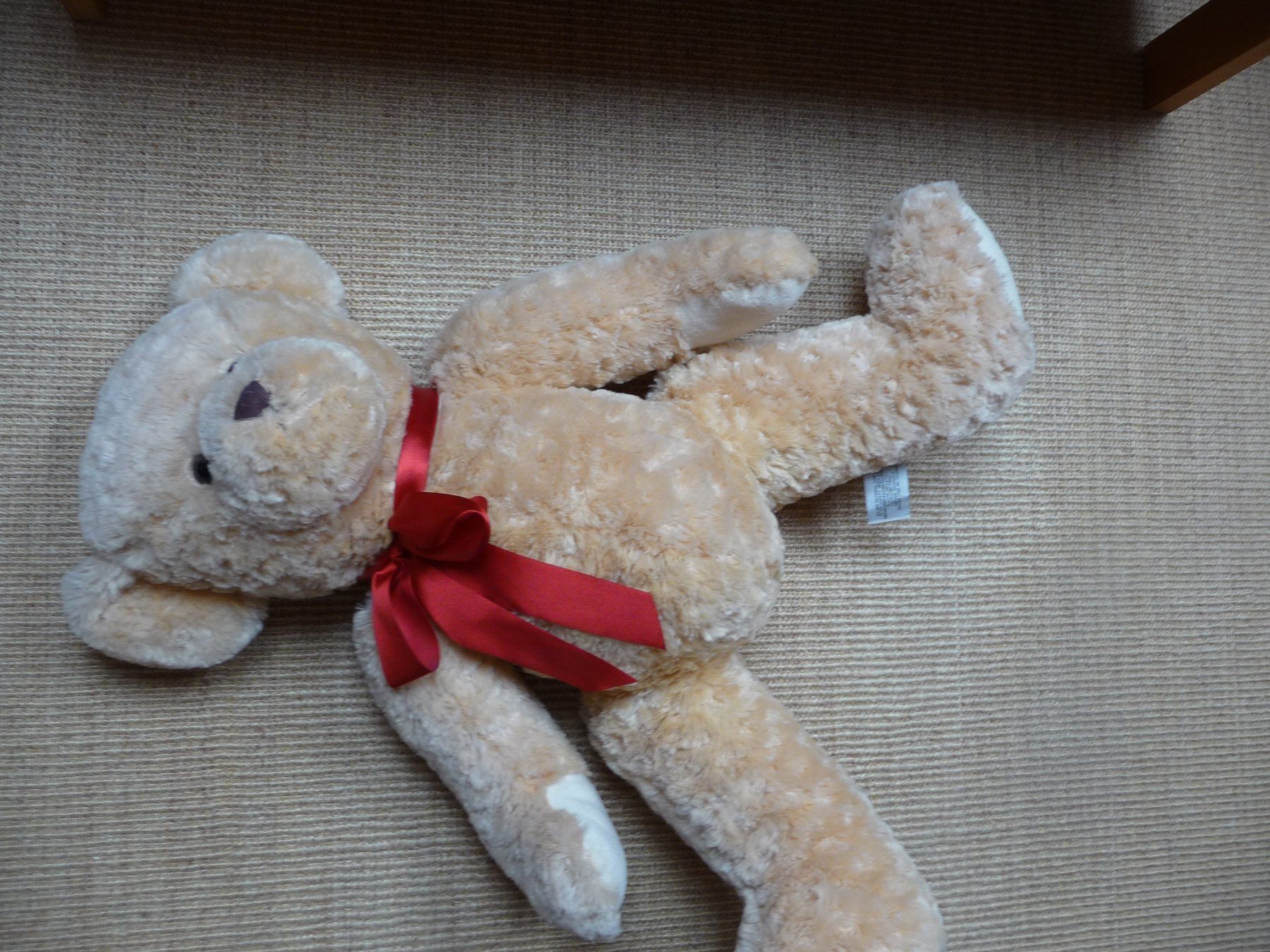 Spielzeuge: Grosser Eisbär und Teddybär, beides neu – Neu (gemäss Beschreibung) aus Kirchberg BE von lavendel02 1