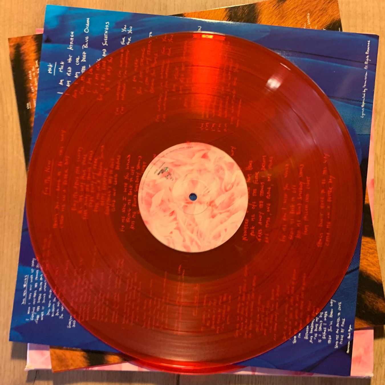 Vinyles: GARBAGE - GARBAGE...RE US 2015 RED...NM/EX – D'occasion à Gals par Diskopatshop 6