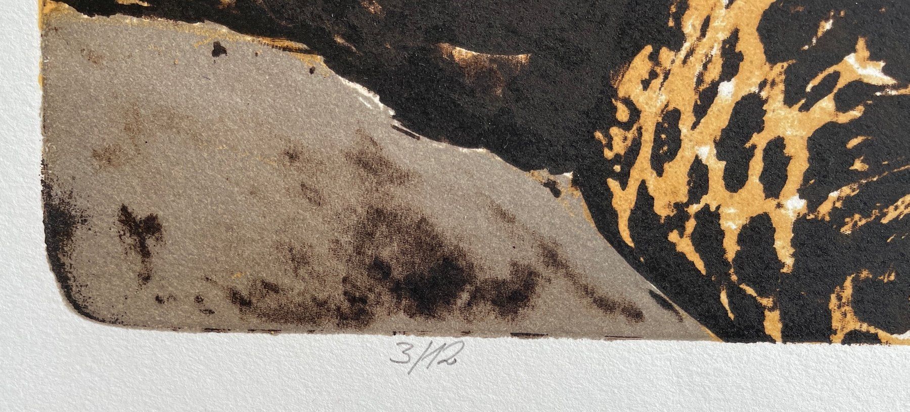 Grafica & Litografie: Paul Rentsch – Usato da Basel venduto da poolko 3