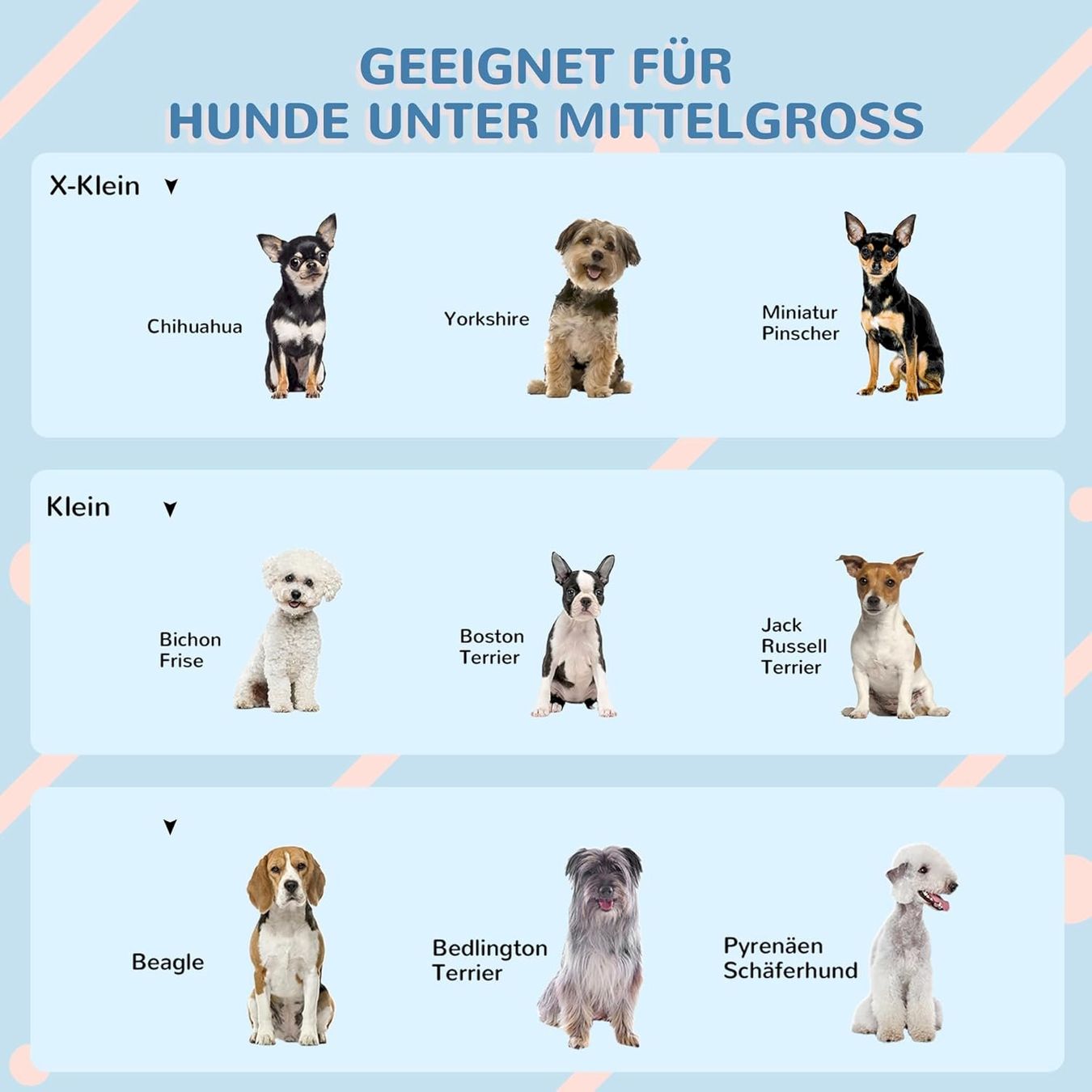 Cucce & Letti: PawHut Hundehütte mit Satteldach – Nuovo e nell'imballaggio originale da Bottighofen venduto da zaap 6
