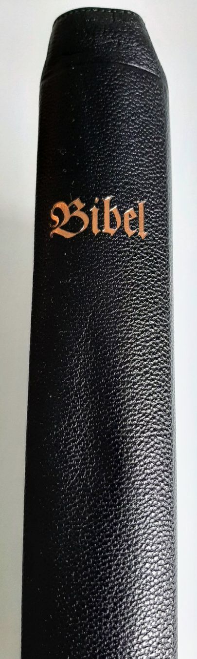 Libri: Bibel Grossoktavbibel Stuttgart 1968 – Usato da Zürich venduto da Zurich 6