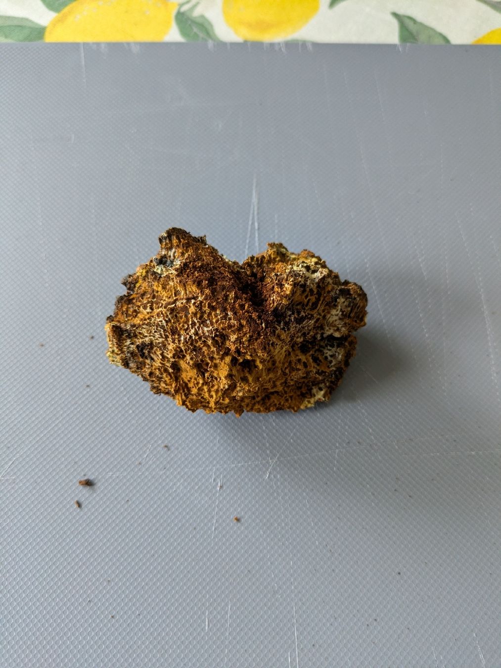 Cibi & Specialità: 200g Chaga Pilz Tee – Nuovo e nell'imballaggio originale da waldenburg venduto da vr161069 6