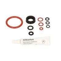 1 Saeco Incanto Dichtungs Set    #20