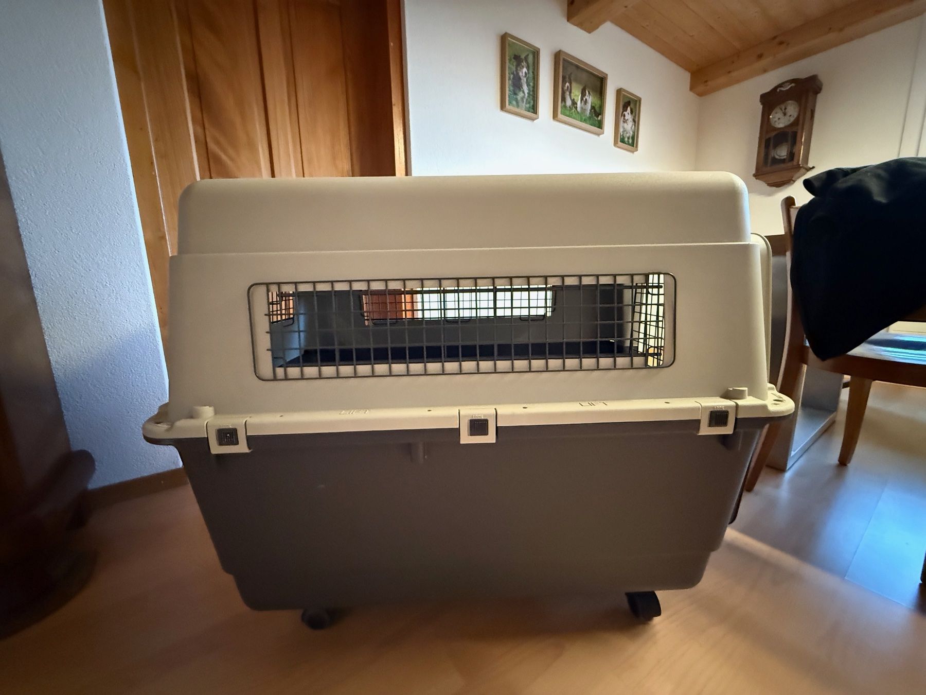 Cucce & Letti: AniOne Transportbox L – Usato da Hellbühl venduto da silvan_reber 2