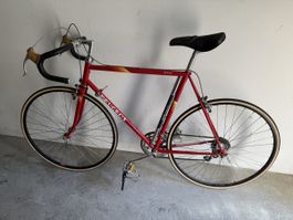 Vintage Peugeot Rennvelo (12-Gang) – 80er Klassiker (Rot)