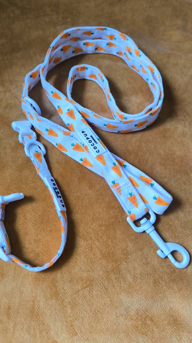 Leine & Halsband: Hundeleine – Neu (gemäss Beschreibung) aus Seuzach von laj_p6gj 1