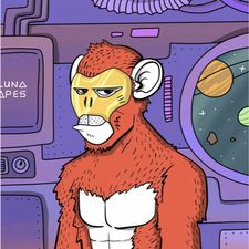 Profile image of kaisemic