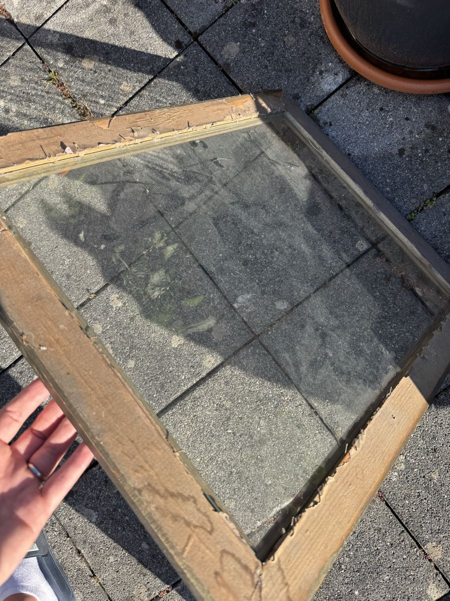 Tutte le decorazioni: Glasscheibe vintage – Usato da Zollikofen venduto da Sarahmwm 2