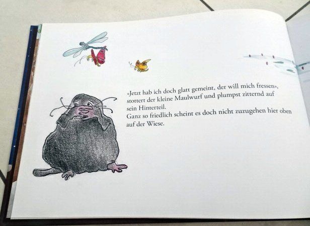 Libri: Kinderbuch Keine Angst kleiner Maulwurf – Usato da Wetzikon ZH venduto da strubeli024 2
