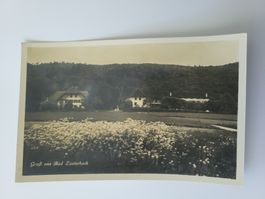 Alte Ansichtskarte Gruss aus Bad Lauterbach Sommer R21