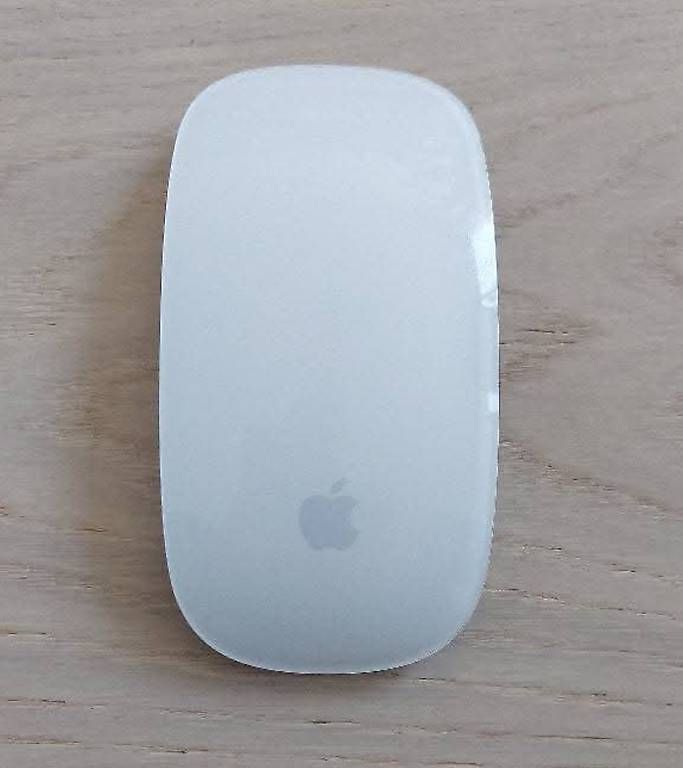Mouse: Apple Magic Mouse – Usato da Allschwil venduto da rajmahal