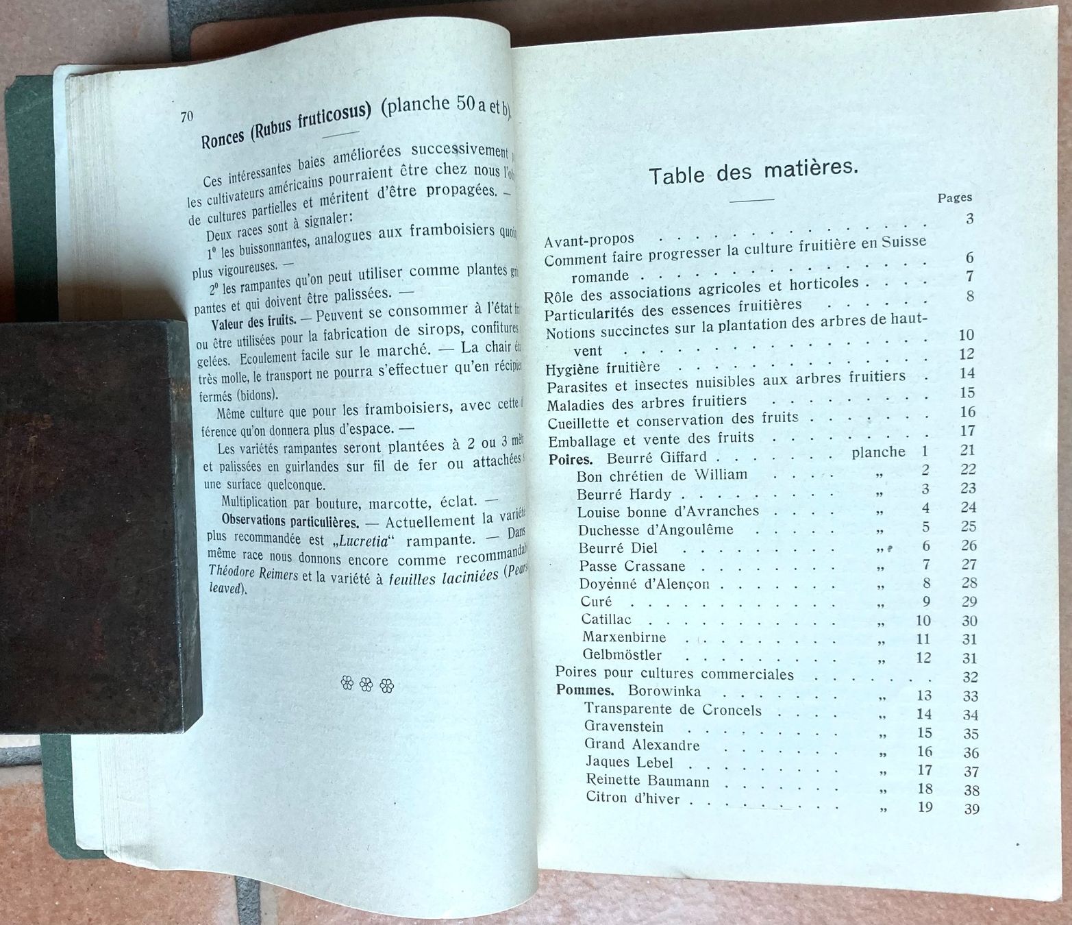 Bücher: Pomologie Romande Illustrée - 1916 – Gebraucht aus Versoix von HELVETICA_1 1