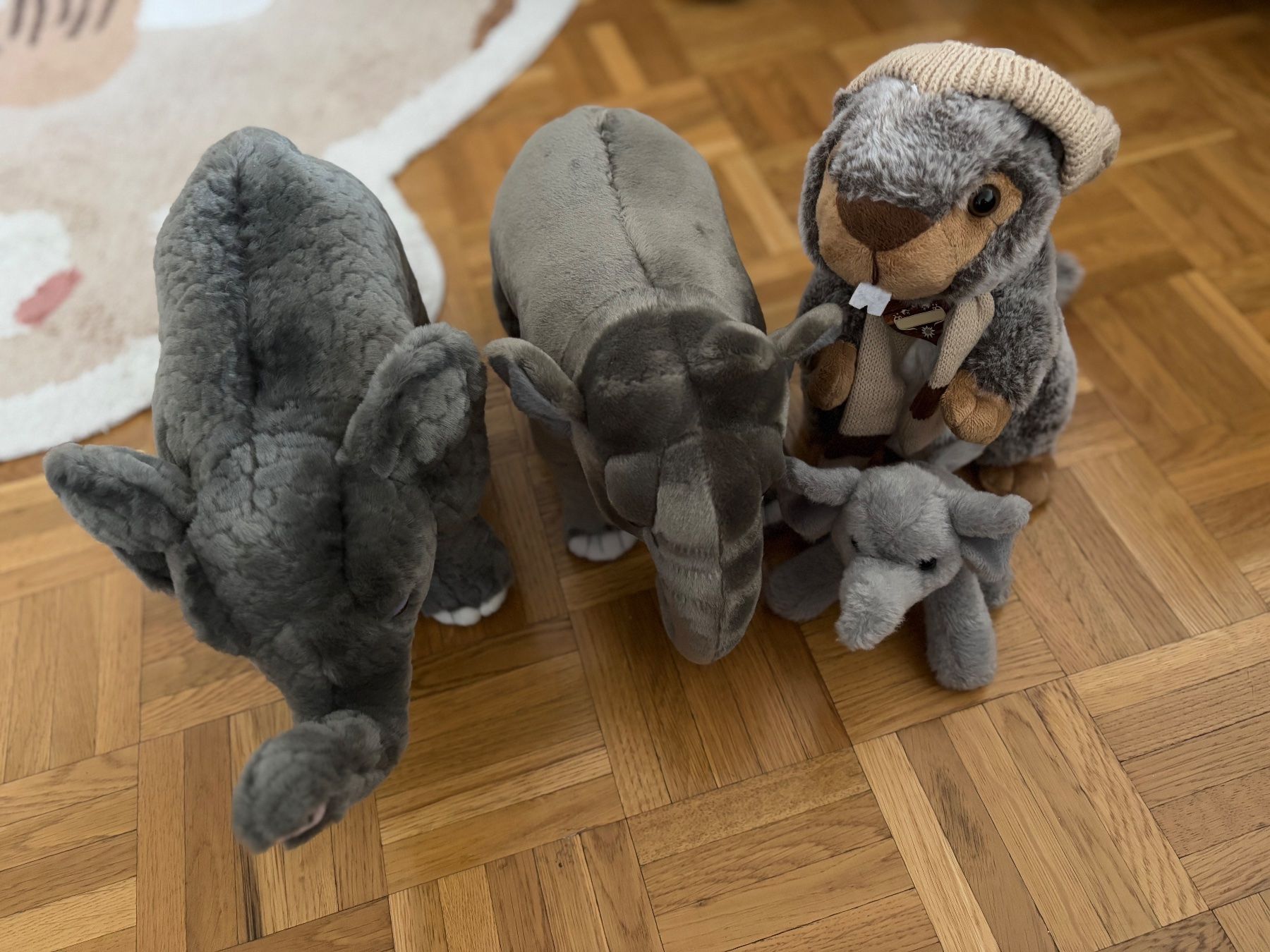 Giocattoli: Lot de peluches – Nuovo (secondo la descrizione) da Veyrier venduto da MargaritaR 1