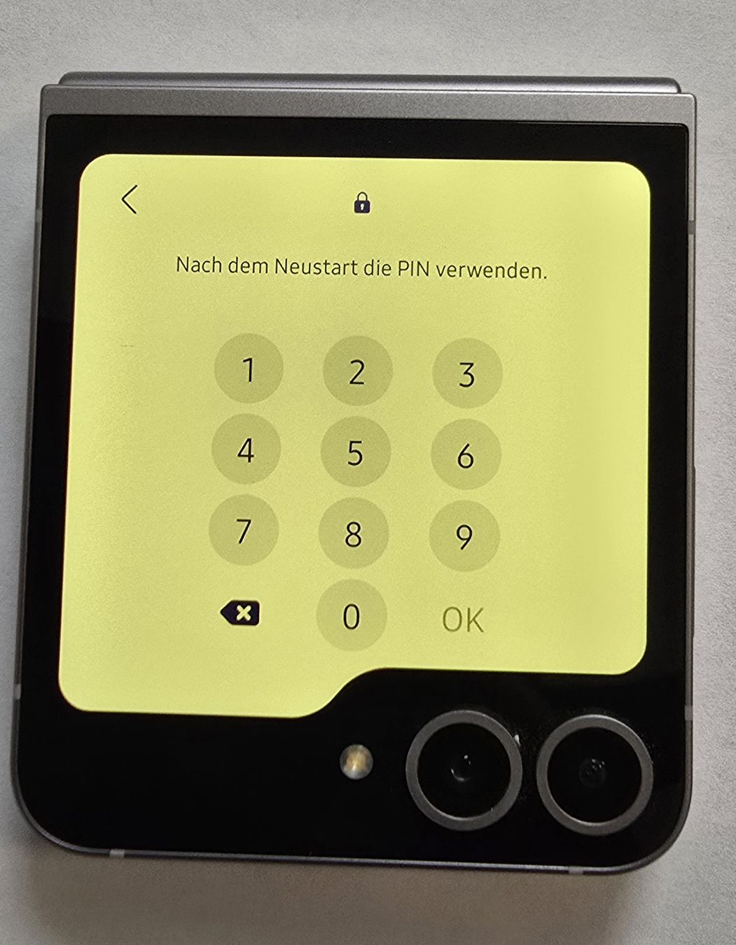 Samsung Telefoni cellulari / Smartphones: Samsung Galaxy Z Flip6 5G  – Difettoso da Studen BE venduto da tha_dhp8 1