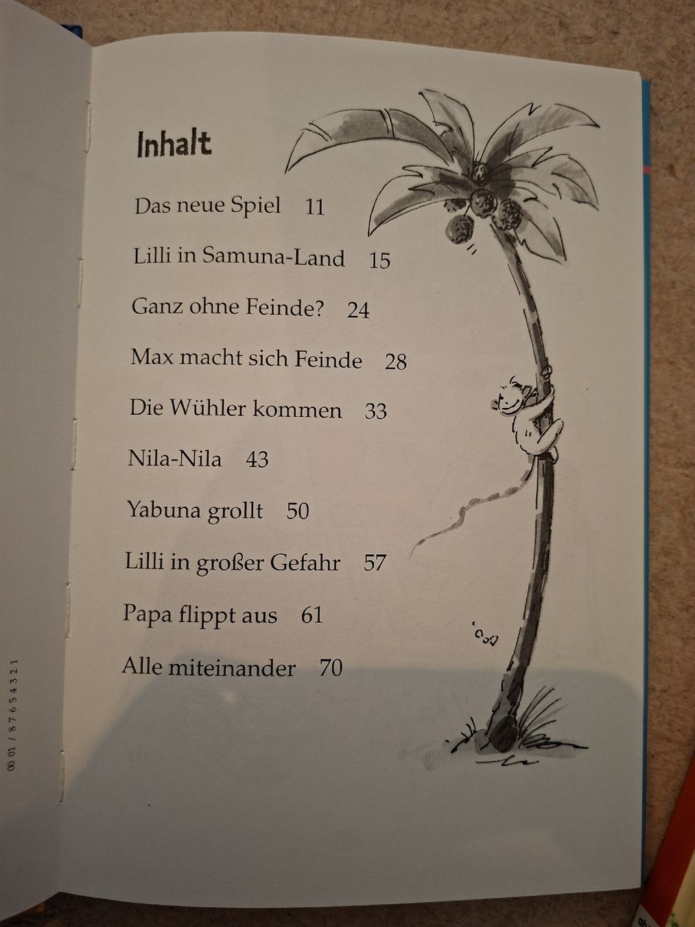 Bücher: Kinderbuch "Lilli im Computerfieber" von Ingrid Kellner – Gebraucht aus Klingnau von vollmond36 3